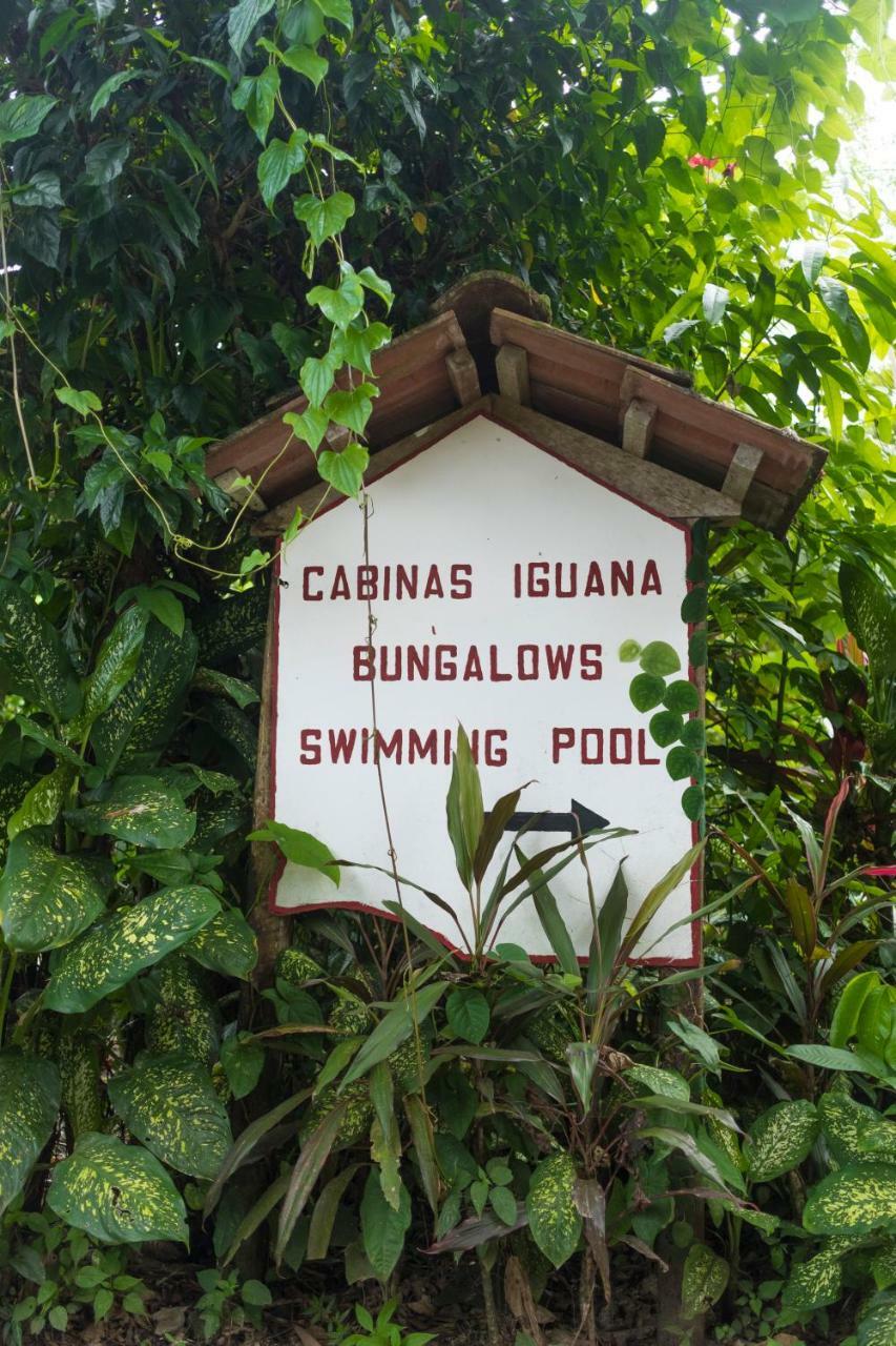 Cabinas Iguana Кауита Экстерьер фото